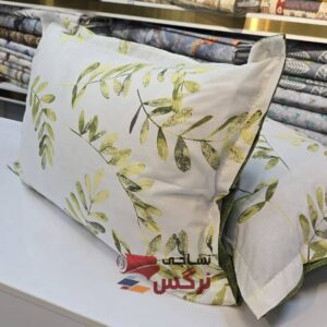 روبالشتی