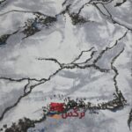 روتشکی مهمان طرح اسپرت کد 1